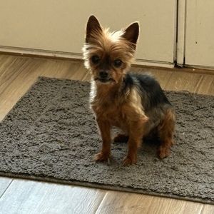 Meet your Posher, Mindy